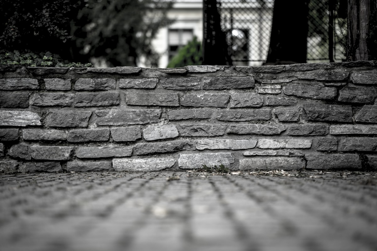 Stone steps and hardscape