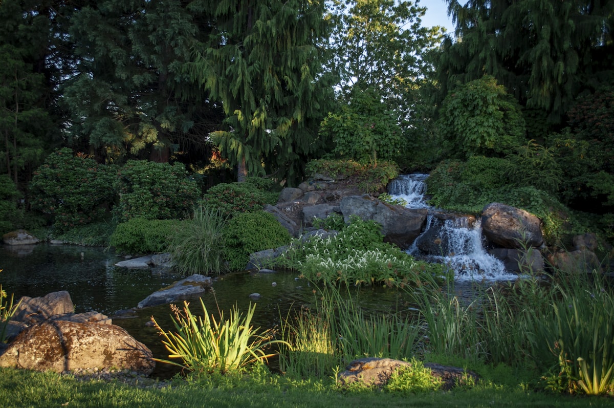 Backyard pond and waterfall built by Estate Mate
